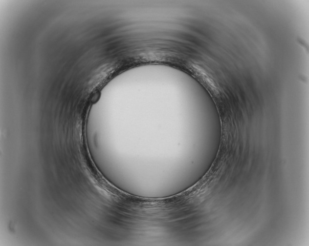 X0000091530398200708170954