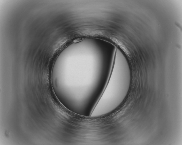 X0000091530399200708170954