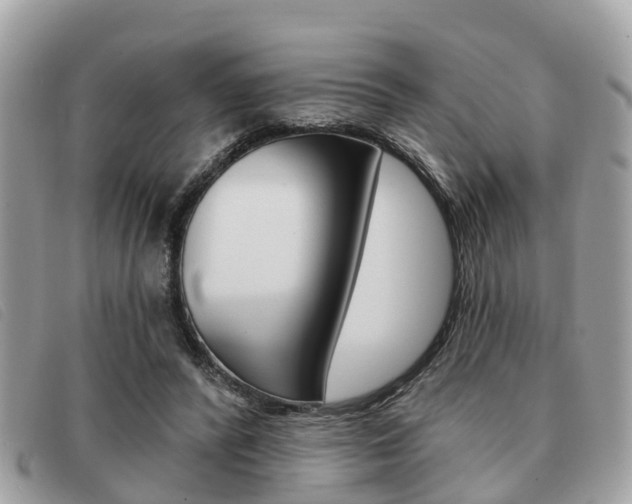 X0000091530400200708170954