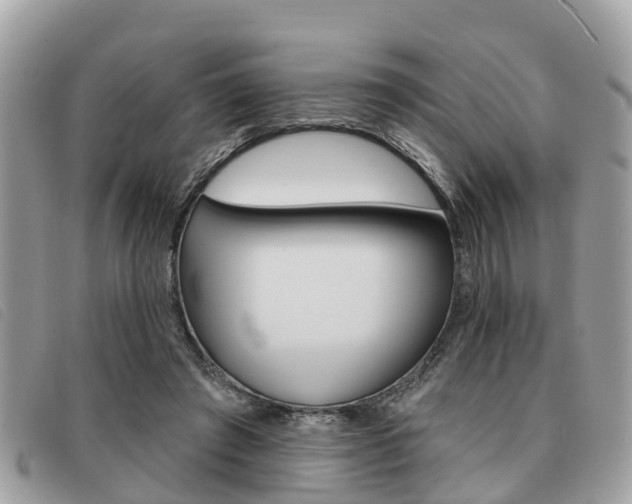 X0000091530401200708170954
