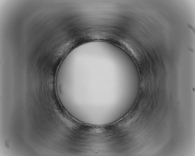 X0000091530402200708170954