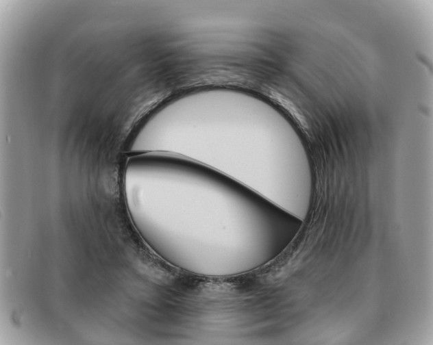X0000091530403200708170954