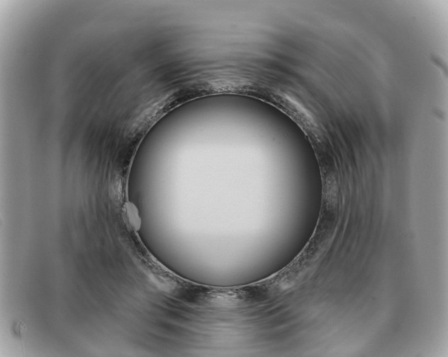X0000091530405200708170954