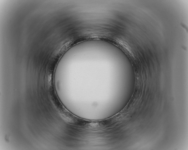 X0000091530406200708170954