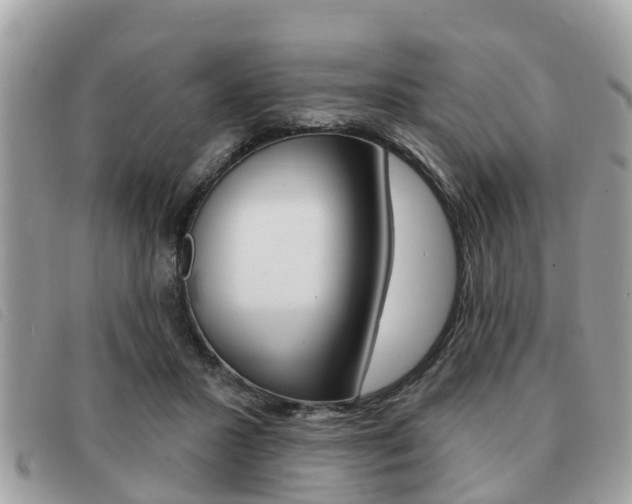 X0000091530407200708170954
