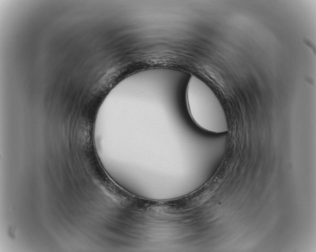 X0000091530408200708170953