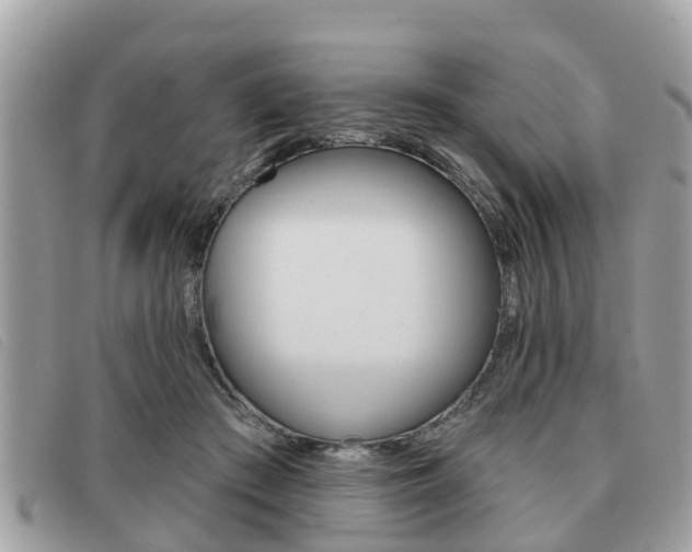 X0000091530409200708170953