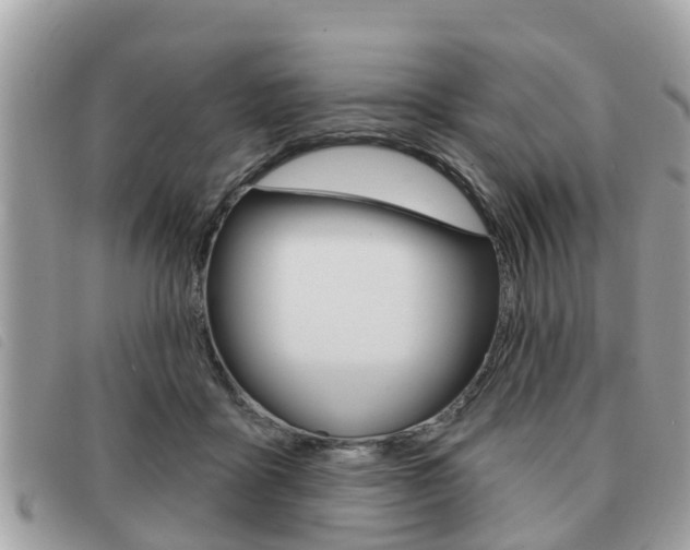 X0000091530411200708170953