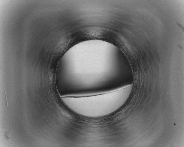 X0000091530412200708170953
