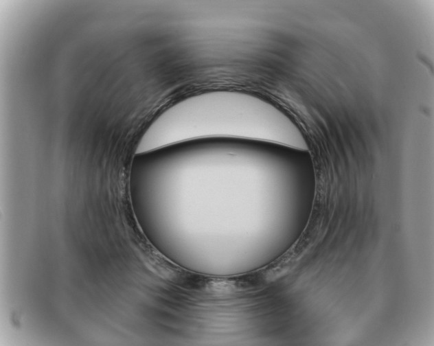 X0000091530413200708170953