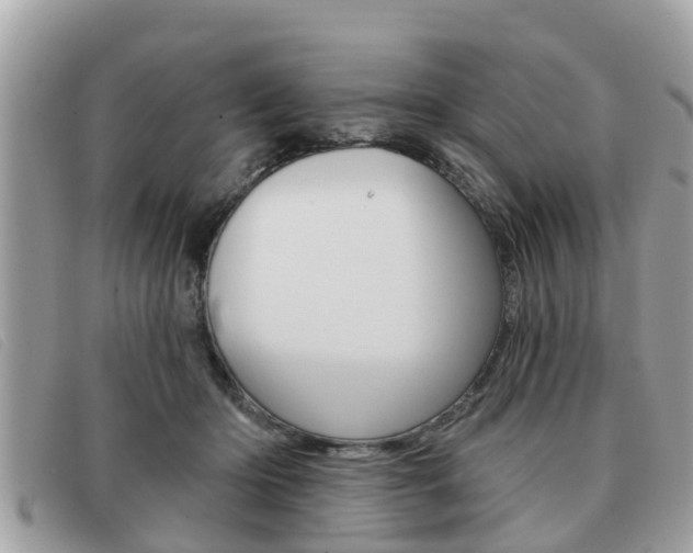 X0000091530414200708170953