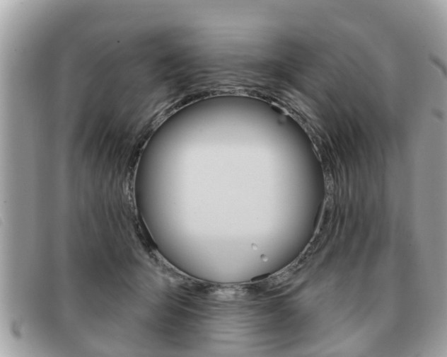 X0000091530415200708170953