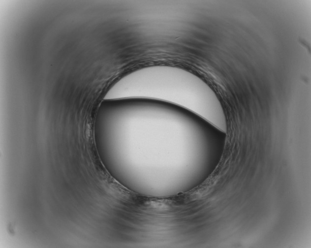 X0000091530417200708170953