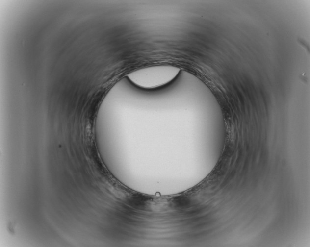 X0000091530418200708170953