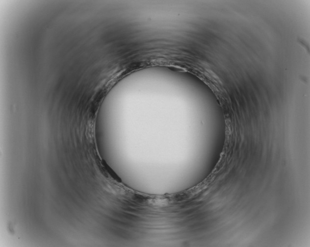 X0000091530419200708170953