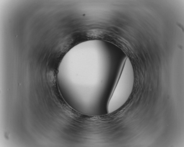 X0000091530420200708170953