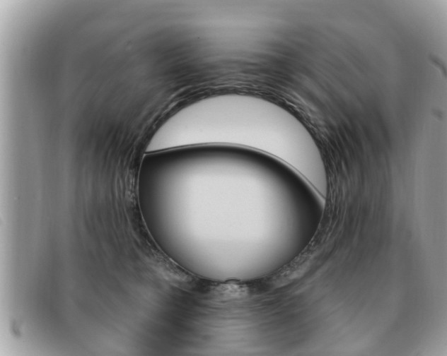 X0000091530421200708170953