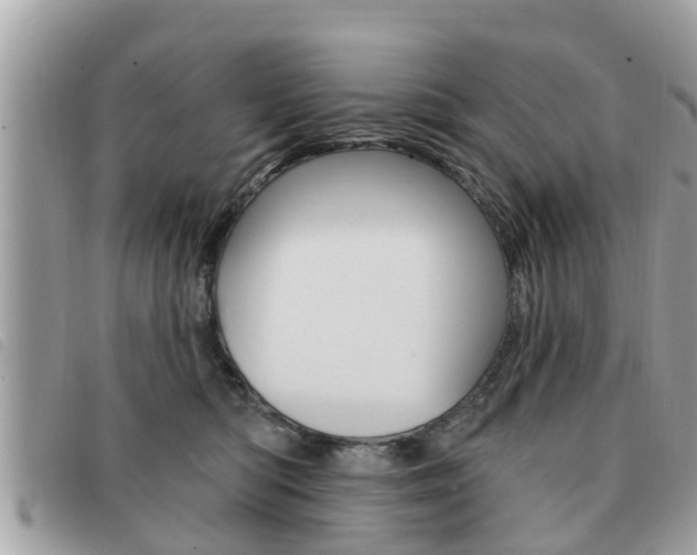 X0000091530422200708170953