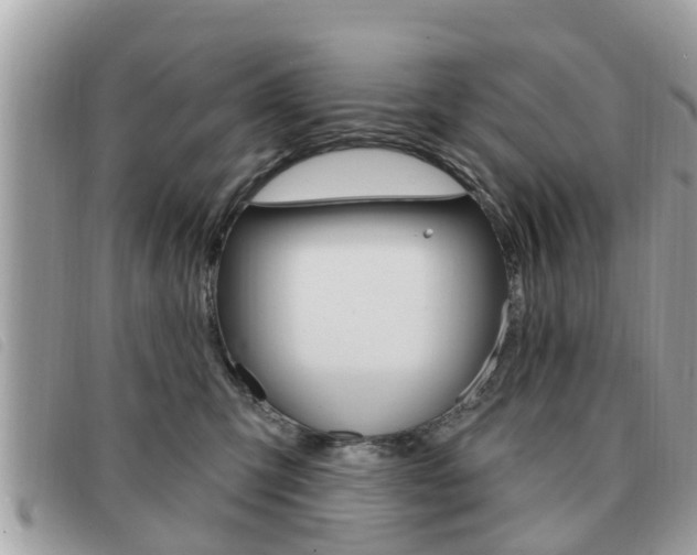X0000091530423200708170953