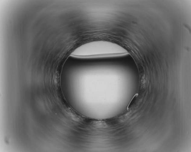 X0000091530424200708170953