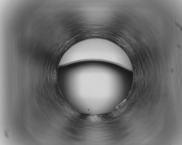 X0000091530425200708170953