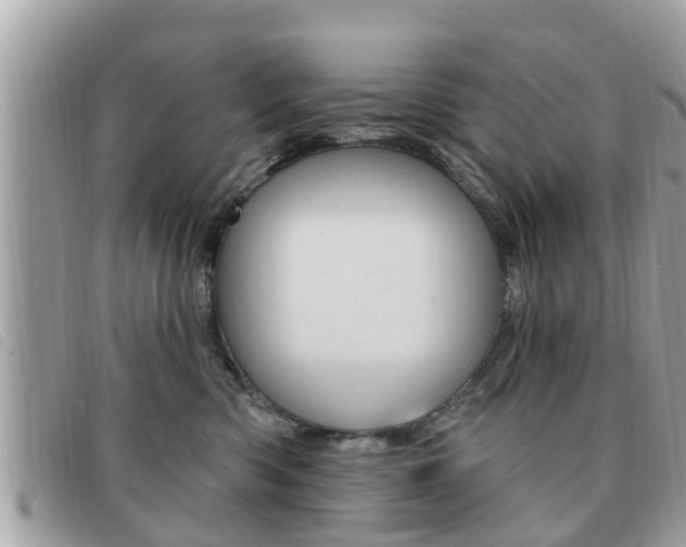 X0000091530426200708170953