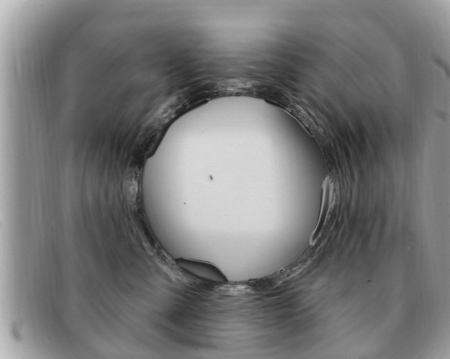 X0000091530427200708170953