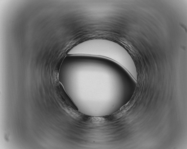 X0000091530429200708170953