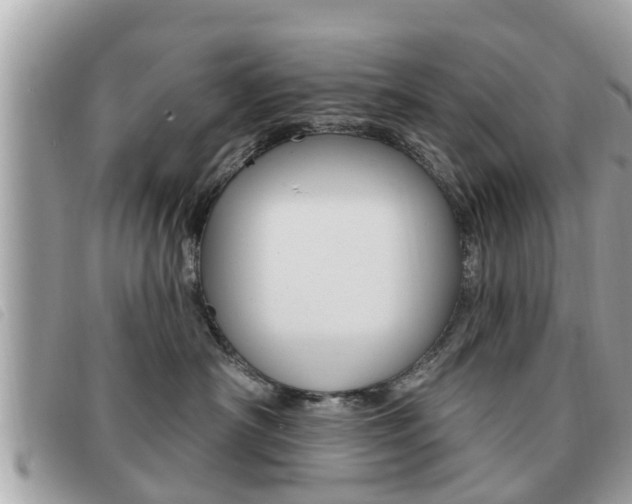 X0000091530430200708170953