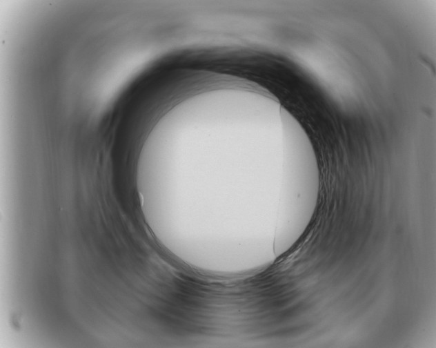 X0000091530431200708170953