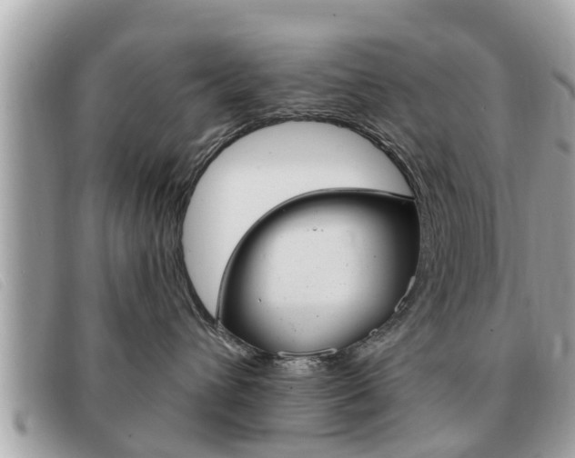 X0000091530432200708170953