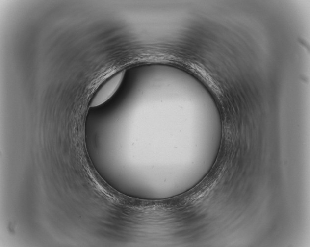 X0000091530433200708170953