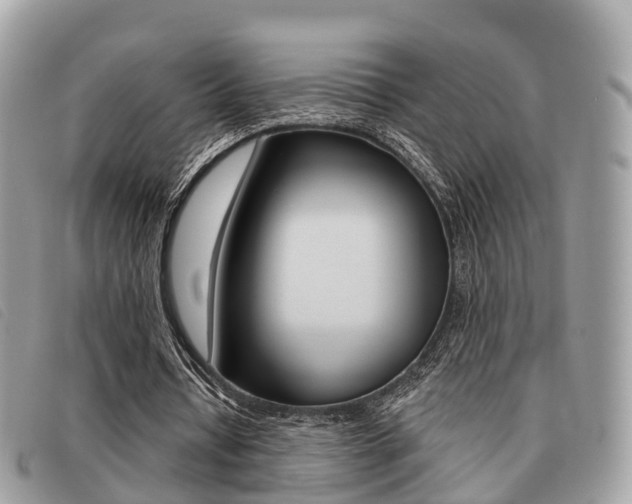 X0000091530434200708170953