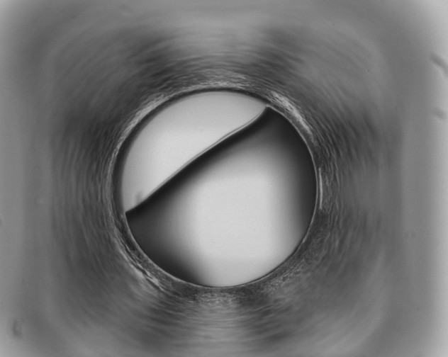 X0000091530435200708170953