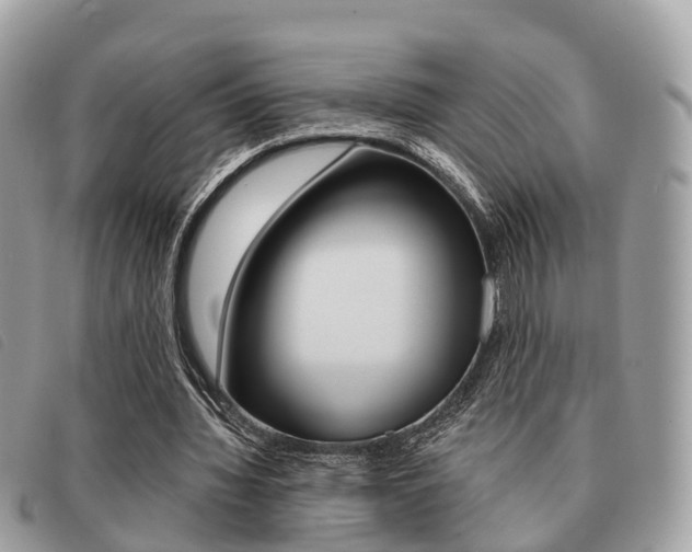 X0000091530436200708170953