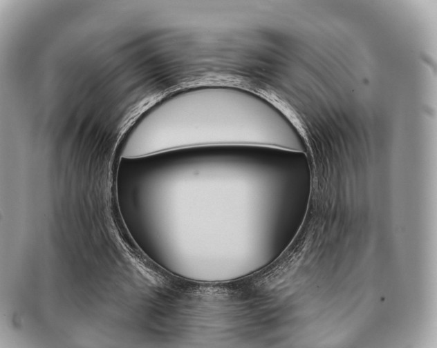 X0000091530437200708170953