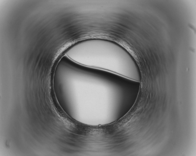 X0000091530438200708170953