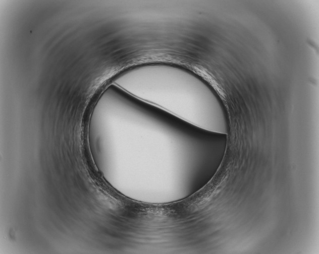 X0000091530439200708170953