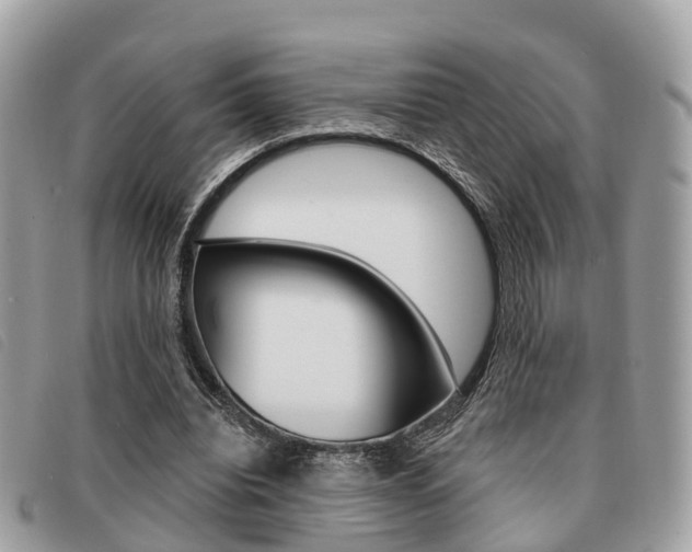 X0000091530440200708170953