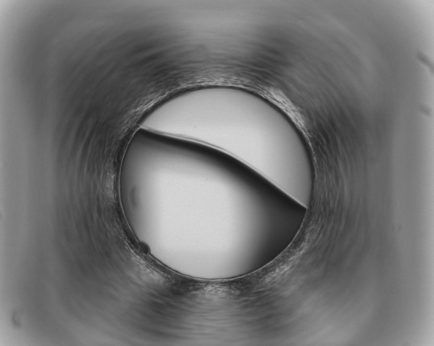 X0000091530441200708170953