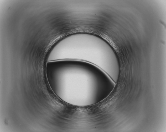 X0000091530442200708170953