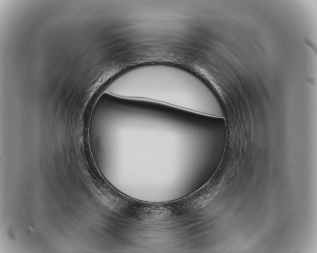 X0000091530443200708170953