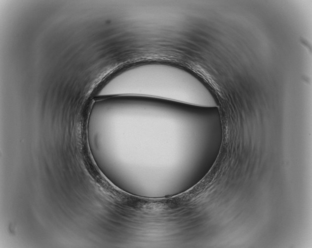 X0000091530444200708170953