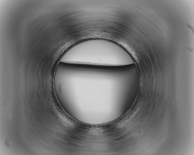X0000091530445200708170953