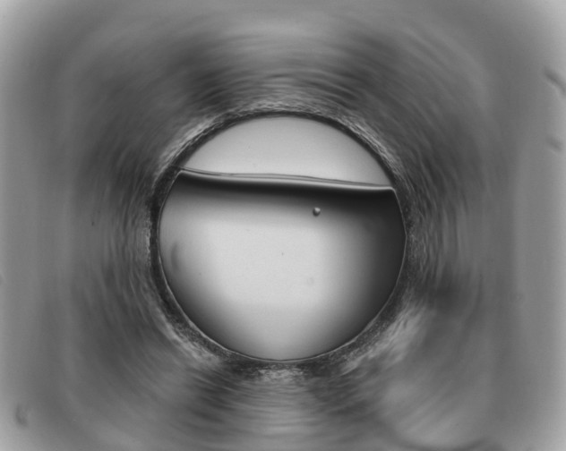 X0000091530446200708170953