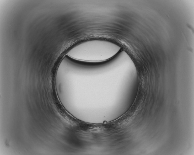 X0000091530447200708170953
