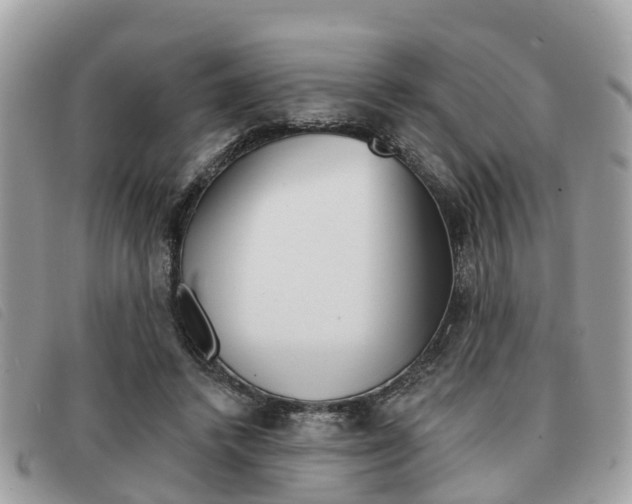X0000091530448200708170953