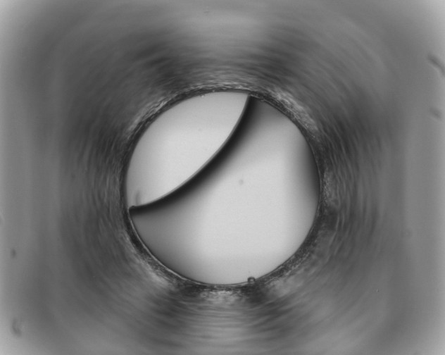 X0000091530449200708170953