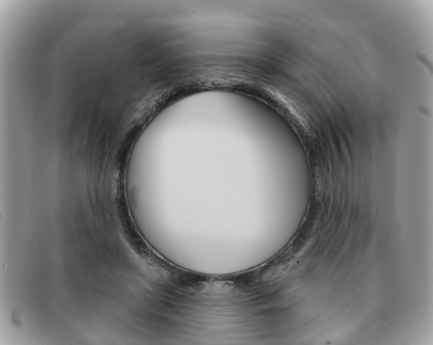 X0000091530451200708170953