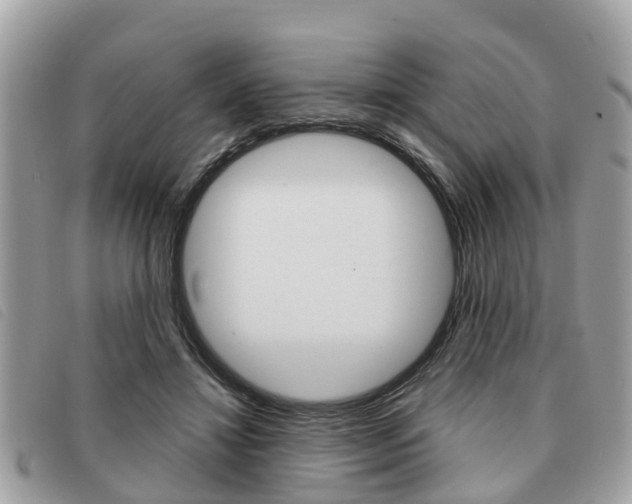 X0000091530452200708170953